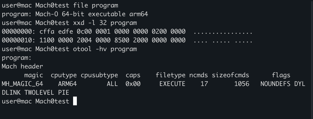 Terminal output identifying an ARM64 Mach-O executable, displaying its first 32 bytes, and printing its Mach header