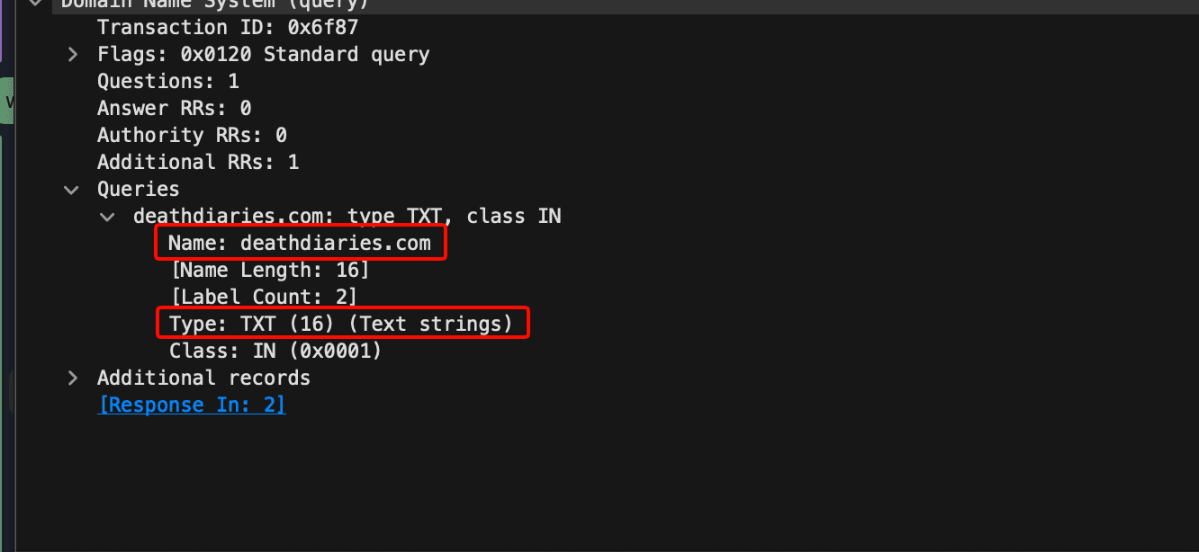 Wireshark DNS query with domain name and TXT type boxed in red