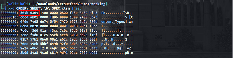 LetsDefend — Remote Working — image 4