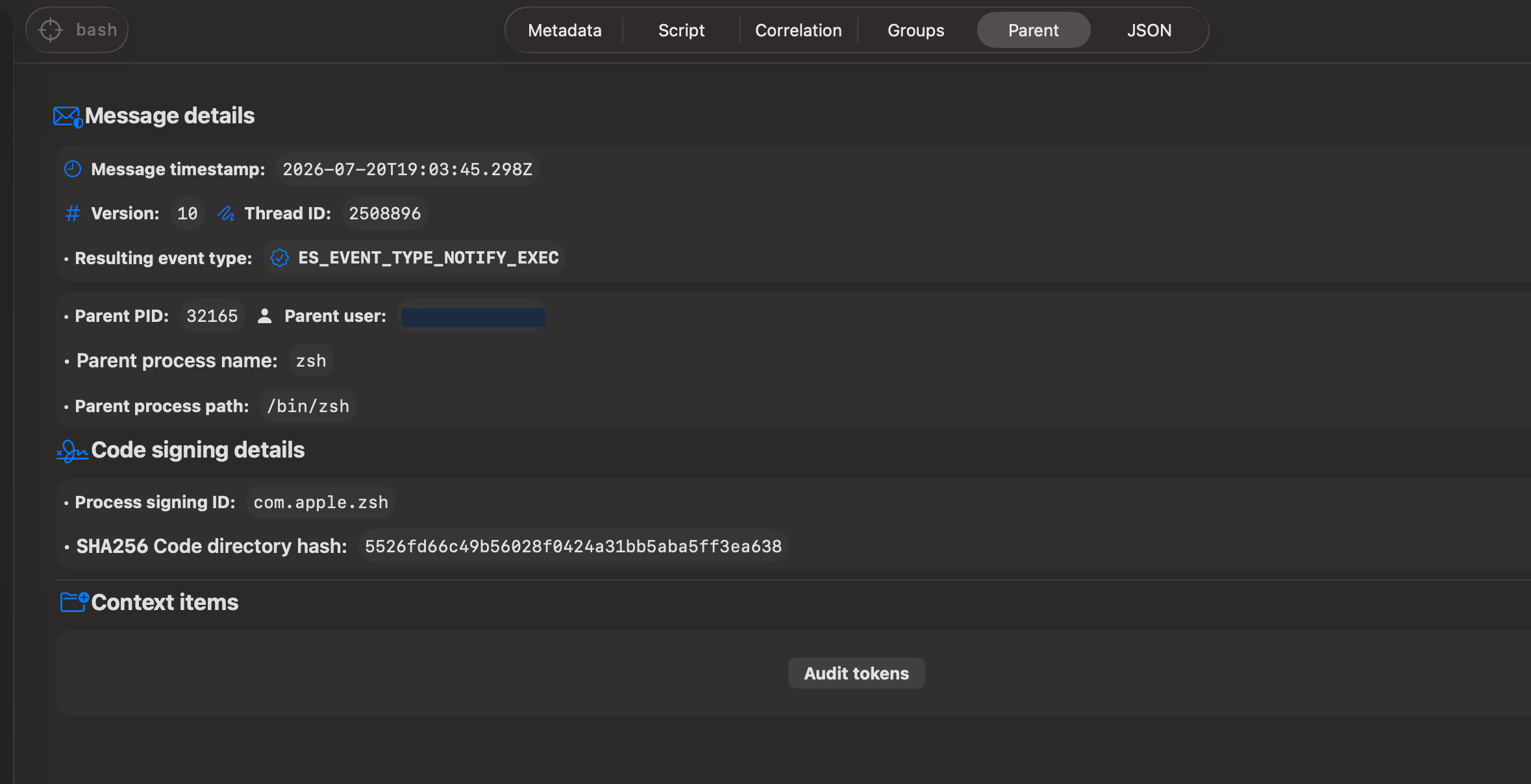 Mac Monitor parent view for the Bash process running the demonstration script